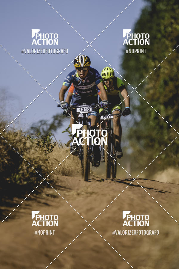 Buy your photos of the event16 Edio Maratona 100Km Canaviais on Fotop