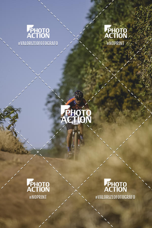 Buy your photos of the event16 Edio Maratona 100Km Canaviais on Fotop