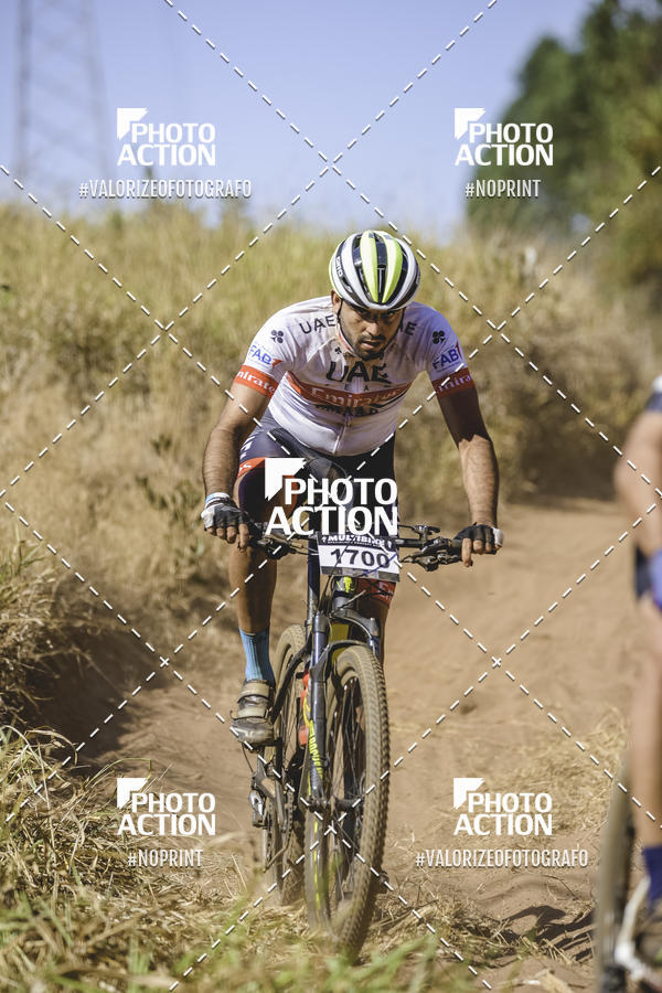 Buy your photos of the event16 Edio Maratona 100Km Canaviais on Fotop