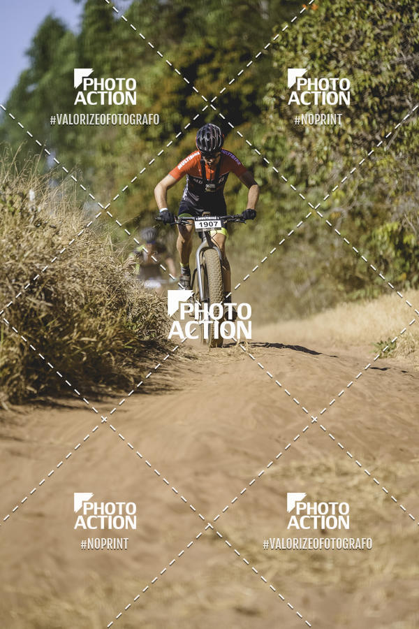 Buy your photos of the event16 Edio Maratona 100Km Canaviais on Fotop