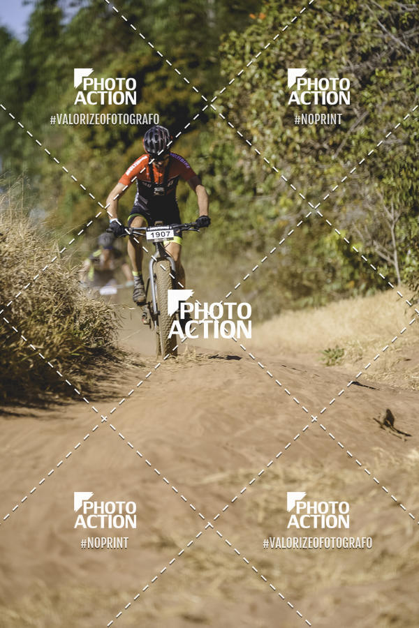 Buy your photos of the event16 Edio Maratona 100Km Canaviais on Fotop