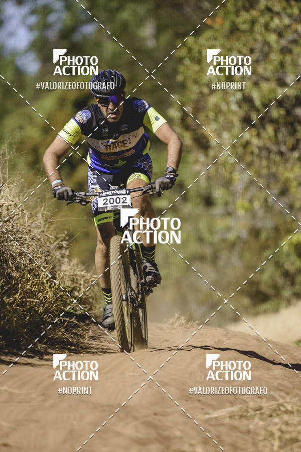Buy your photos of the event16 Edio Maratona 100Km Canaviais on Fotop