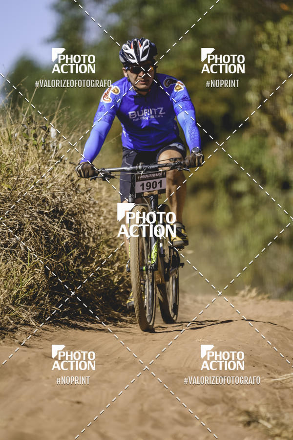 Buy your photos of the event16 Edio Maratona 100Km Canaviais on Fotop
