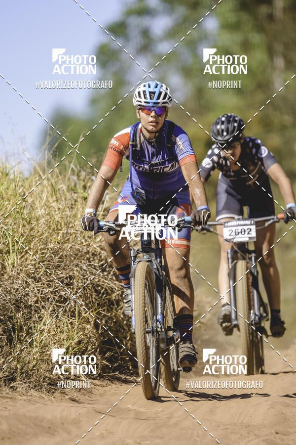 Buy your photos of the event16 Edio Maratona 100Km Canaviais on Fotop