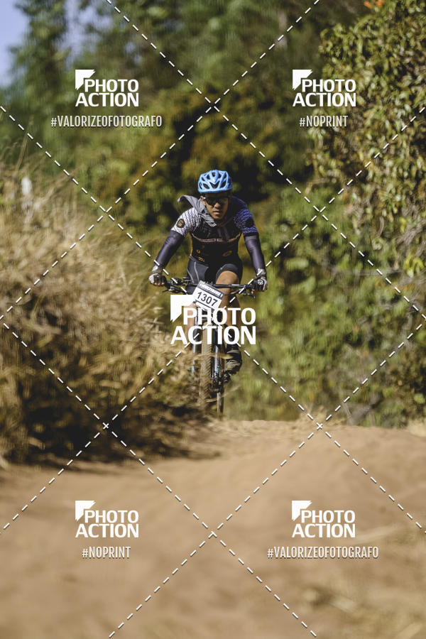 Buy your photos of the event16 Edio Maratona 100Km Canaviais on Fotop
