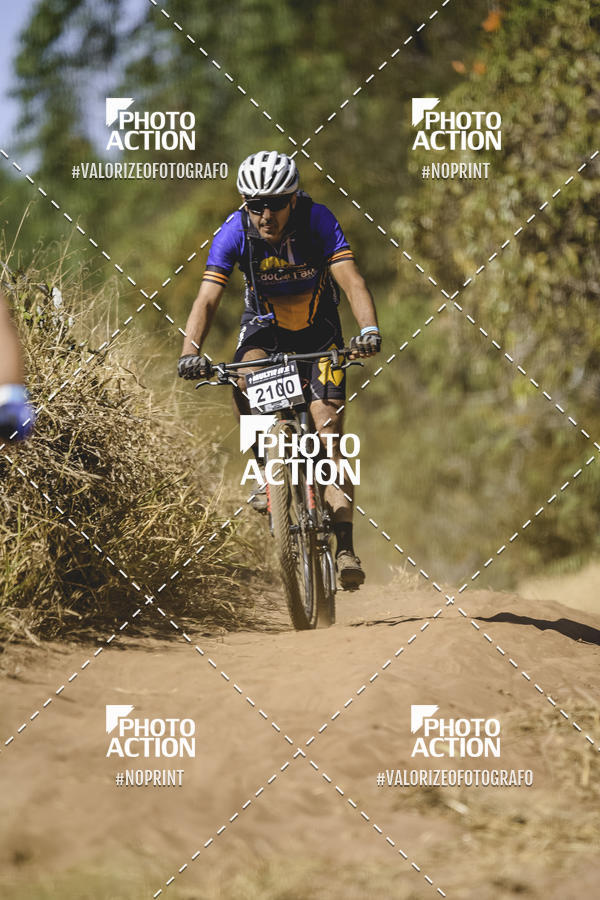 Buy your photos of the event16 Edio Maratona 100Km Canaviais on Fotop