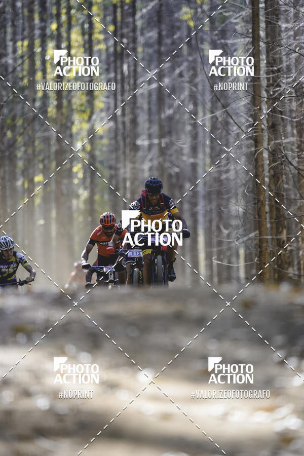 Buy your photos of the event16 Edio Maratona 100Km Canaviais on Fotop