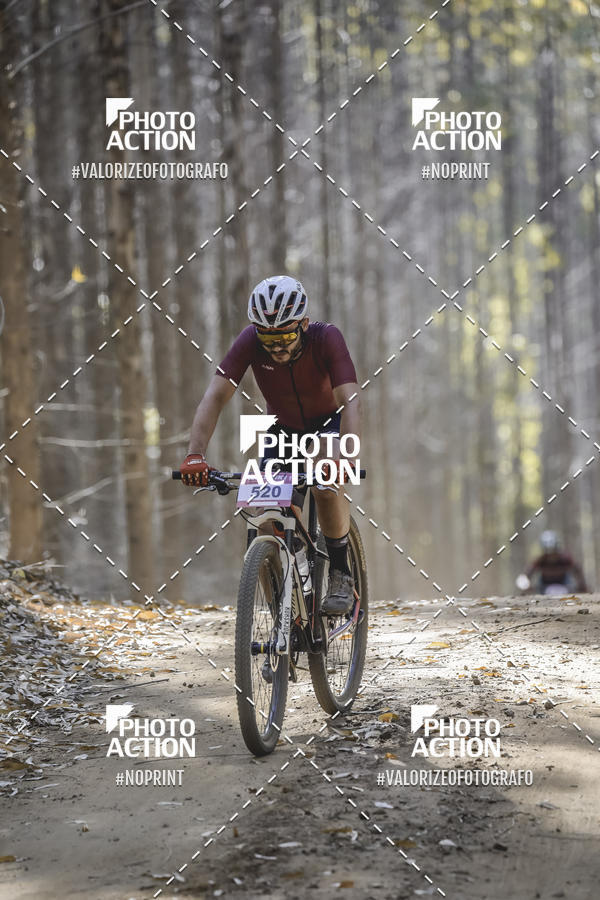 Buy your photos of the event16 Edio Maratona 100Km Canaviais on Fotop