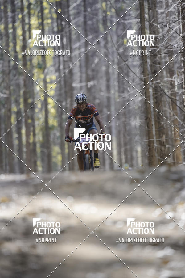 Buy your photos of the event16 Edio Maratona 100Km Canaviais on Fotop