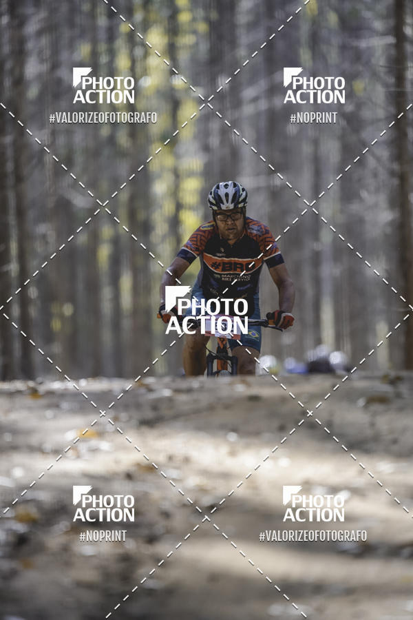 Buy your photos of the event16 Edio Maratona 100Km Canaviais on Fotop