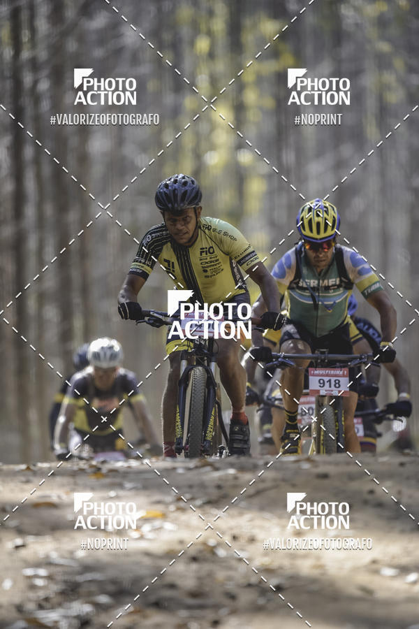 Buy your photos of the event16 Edio Maratona 100Km Canaviais on Fotop