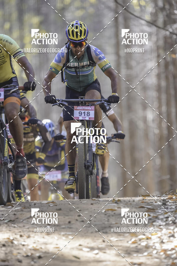 Buy your photos of the event16 Edio Maratona 100Km Canaviais on Fotop