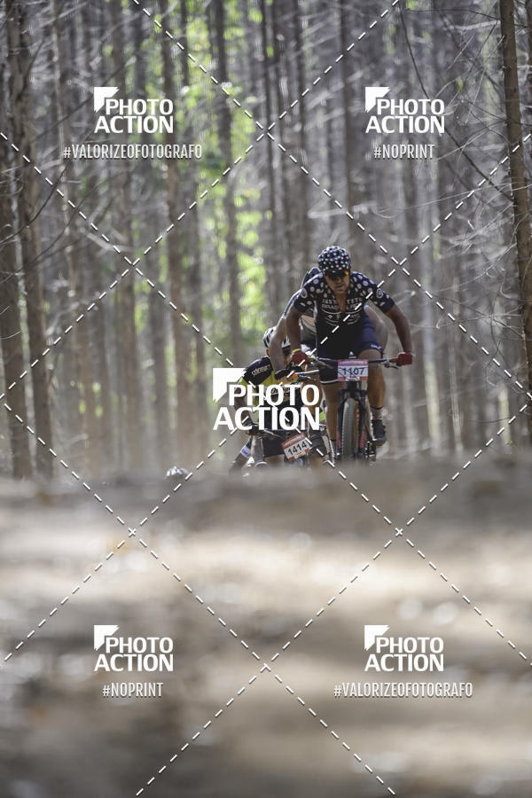 Buy your photos of the event16 Edio Maratona 100Km Canaviais on Fotop
