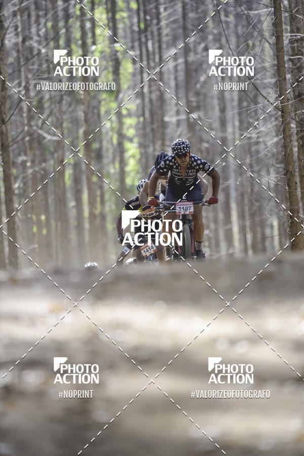 Buy your photos of the event16 Edio Maratona 100Km Canaviais on Fotop