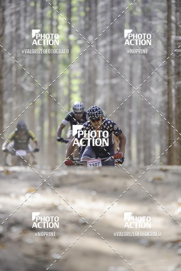 Buy your photos of the event16 Edio Maratona 100Km Canaviais on Fotop