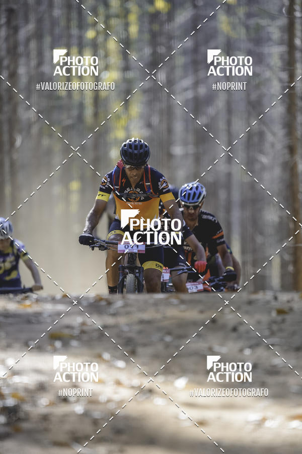 Buy your photos of the event16 Edio Maratona 100Km Canaviais on Fotop
