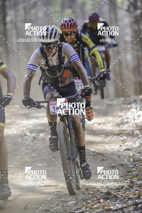 Buy your photos of the event16 Edio Maratona 100Km Canaviais on Fotop