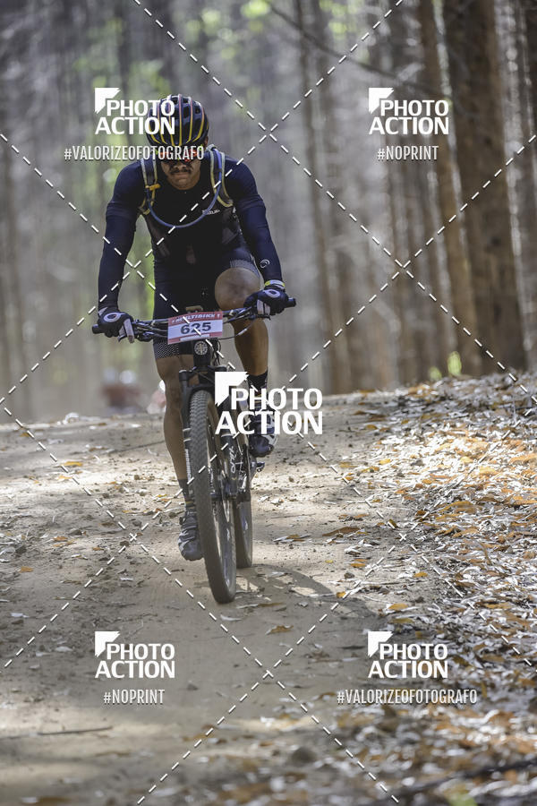 Buy your photos of the event16 Edio Maratona 100Km Canaviais on Fotop