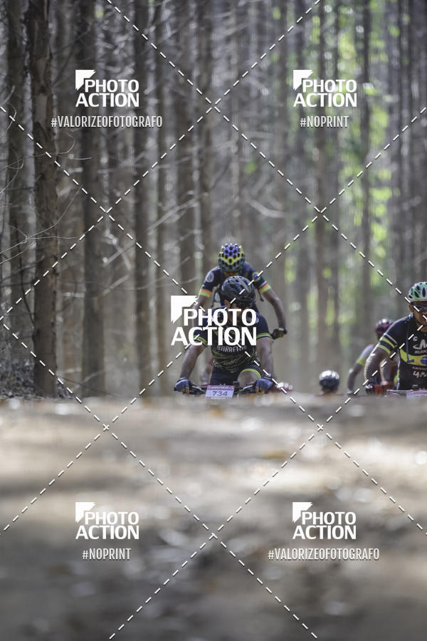 Buy your photos of the event16 Edio Maratona 100Km Canaviais on Fotop