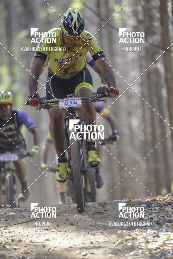Buy your photos of the event16 Edio Maratona 100Km Canaviais on Fotop