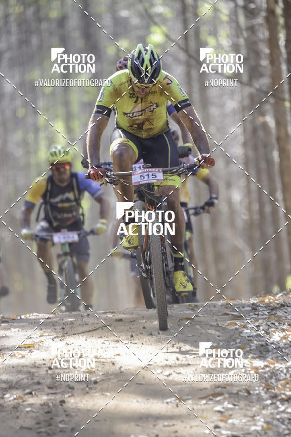 Buy your photos of the event16 Edio Maratona 100Km Canaviais on Fotop