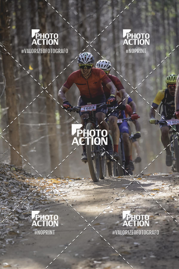 Buy your photos of the event16 Edio Maratona 100Km Canaviais on Fotop