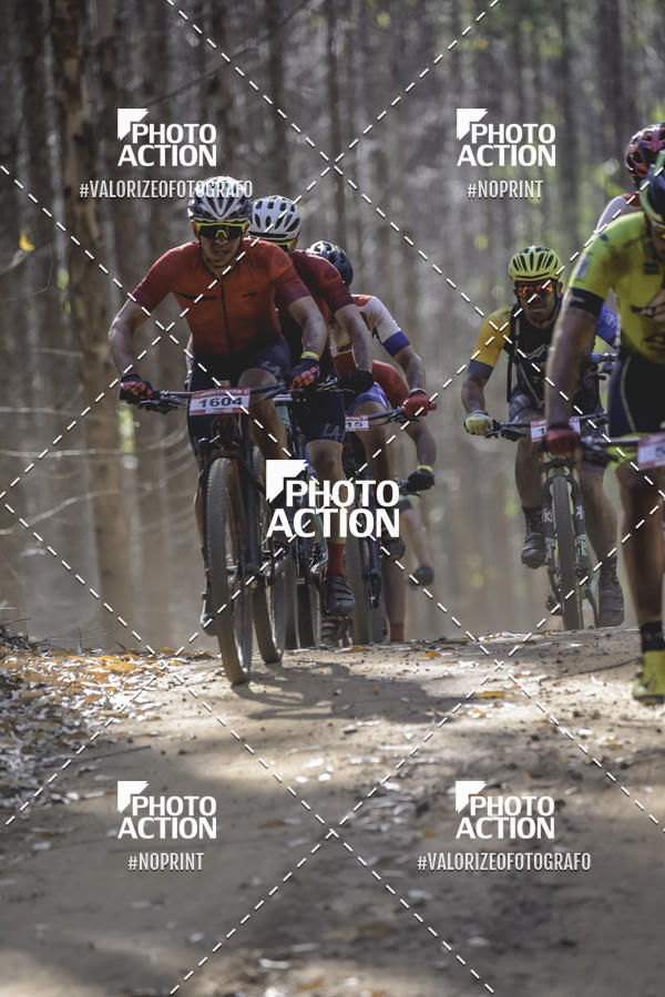 Buy your photos of the event16 Edio Maratona 100Km Canaviais on Fotop
