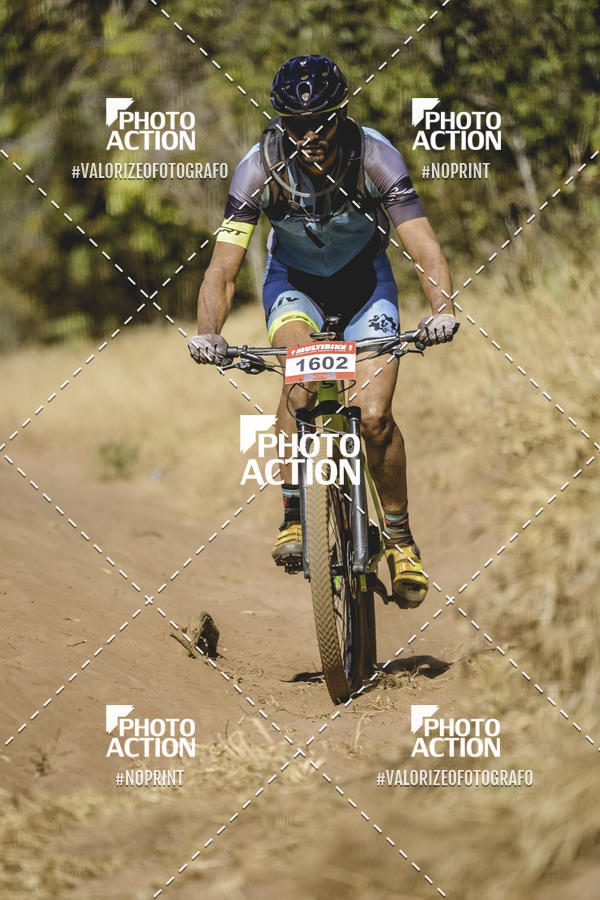 Buy your photos of the event16� Edi��o Maratona 100Km Canaviais on Fotop