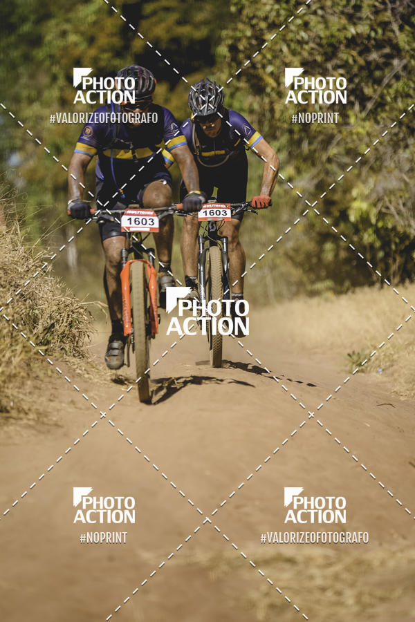 Buy your photos of the event16� Edi��o Maratona 100Km Canaviais on Fotop