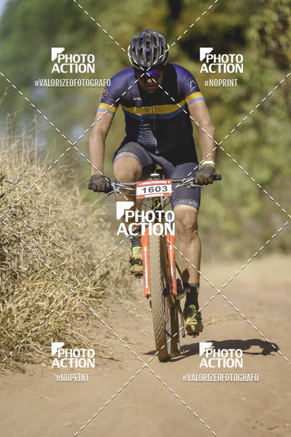 Buy your photos of the event16� Edi��o Maratona 100Km Canaviais on Fotop