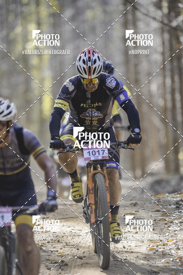 Buy your photos of the event16 Edio Maratona 100Km Canaviais on Fotop
