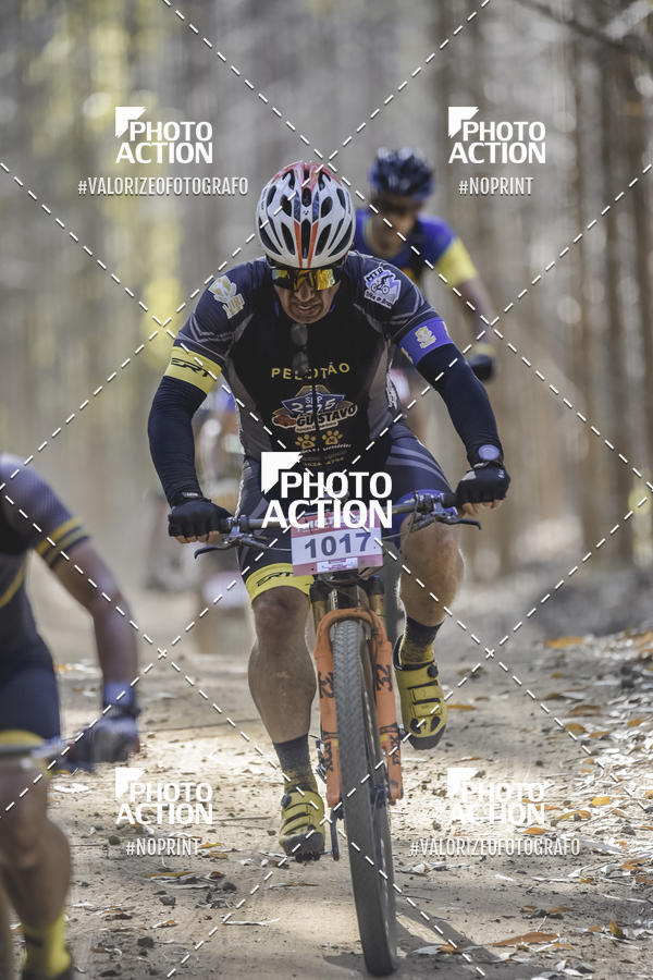 Buy your photos of the event16 Edio Maratona 100Km Canaviais on Fotop