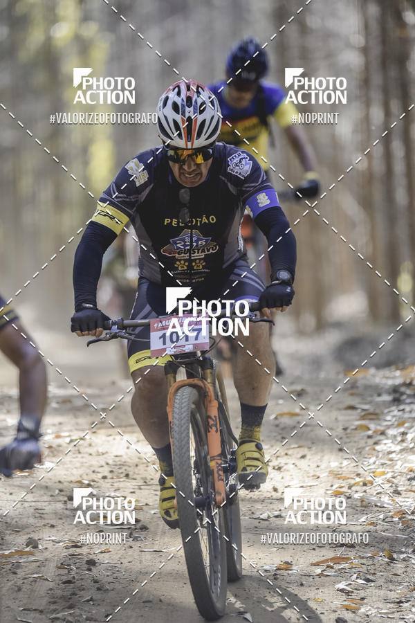 Buy your photos of the event16 Edio Maratona 100Km Canaviais on Fotop