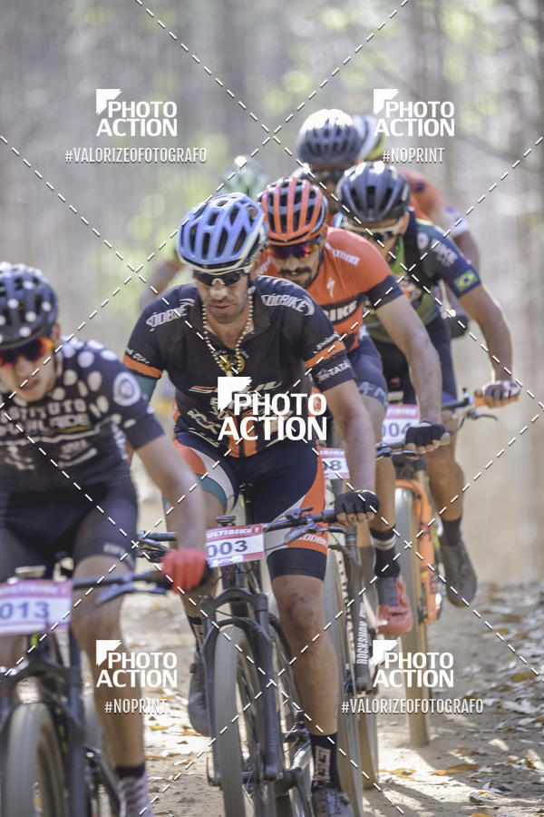 Buy your photos of the event16 Edio Maratona 100Km Canaviais on Fotop