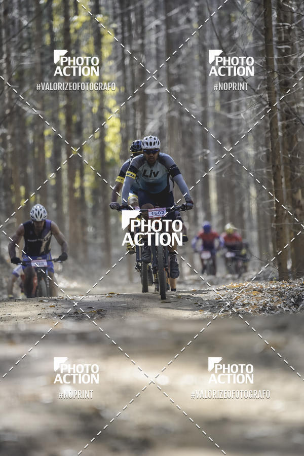 Buy your photos of the event16 Edio Maratona 100Km Canaviais on Fotop