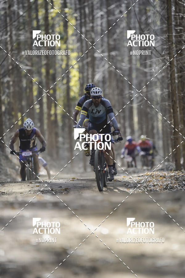 Buy your photos of the event16 Edio Maratona 100Km Canaviais on Fotop