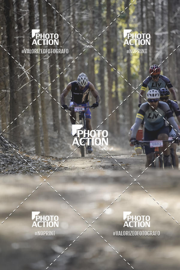 Buy your photos of the event16 Edio Maratona 100Km Canaviais on Fotop
