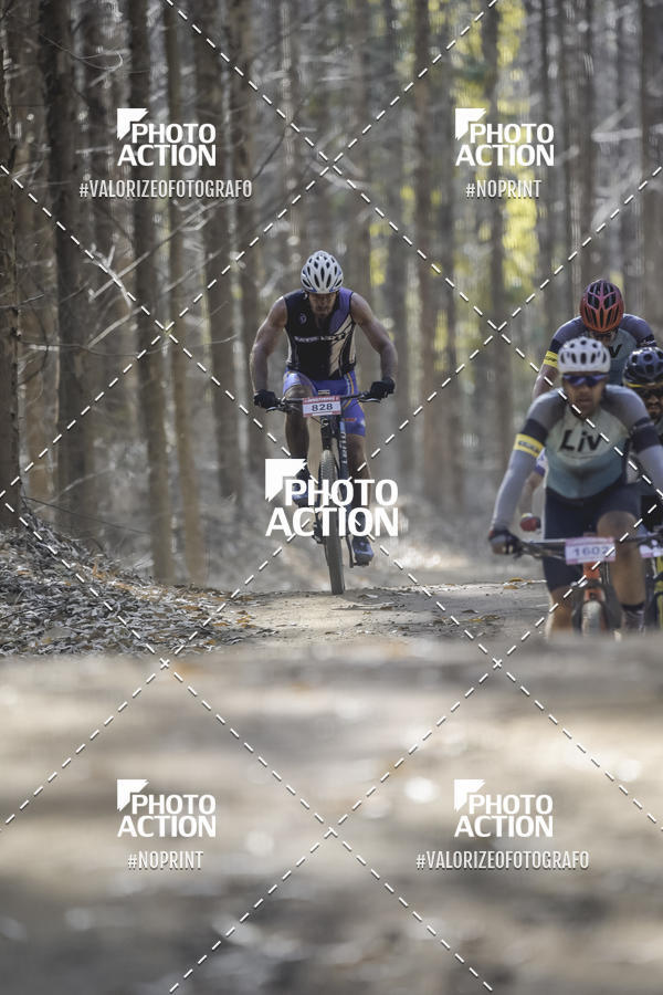 Buy your photos of the event16 Edio Maratona 100Km Canaviais on Fotop