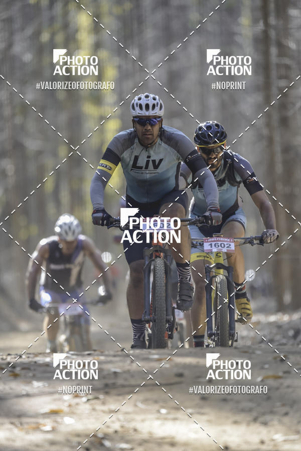 Buy your photos of the event16 Edio Maratona 100Km Canaviais on Fotop