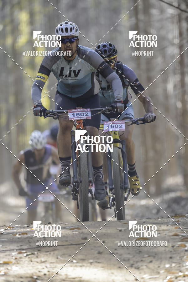 Buy your photos of the event16 Edio Maratona 100Km Canaviais on Fotop