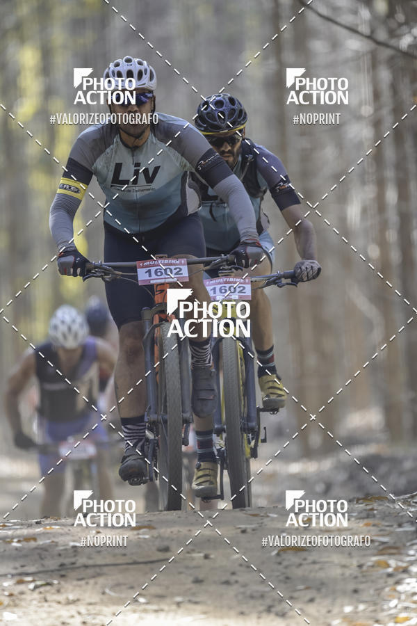 Buy your photos of the event16 Edio Maratona 100Km Canaviais on Fotop