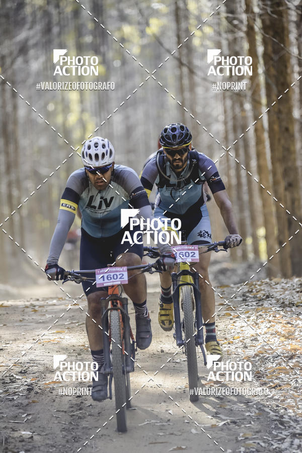 Buy your photos of the event16 Edio Maratona 100Km Canaviais on Fotop