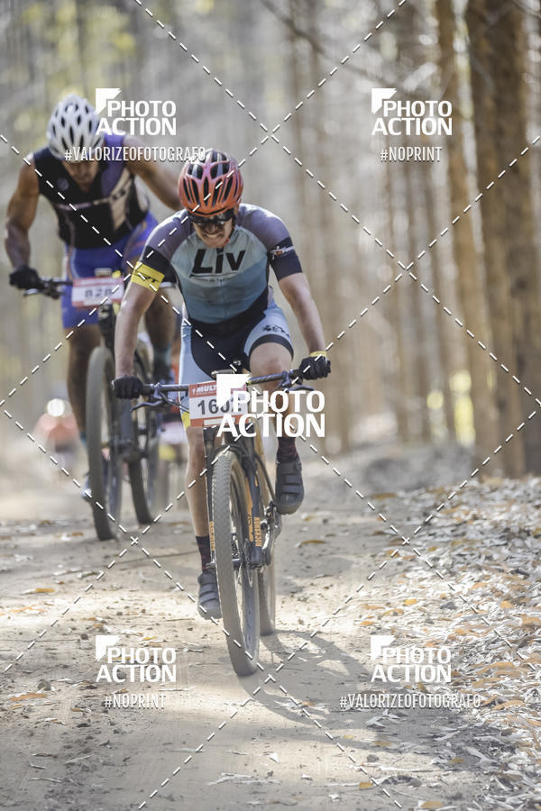 Buy your photos of the event16 Edio Maratona 100Km Canaviais on Fotop