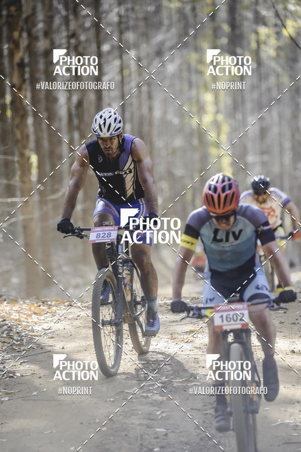 Buy your photos of the event16 Edio Maratona 100Km Canaviais on Fotop