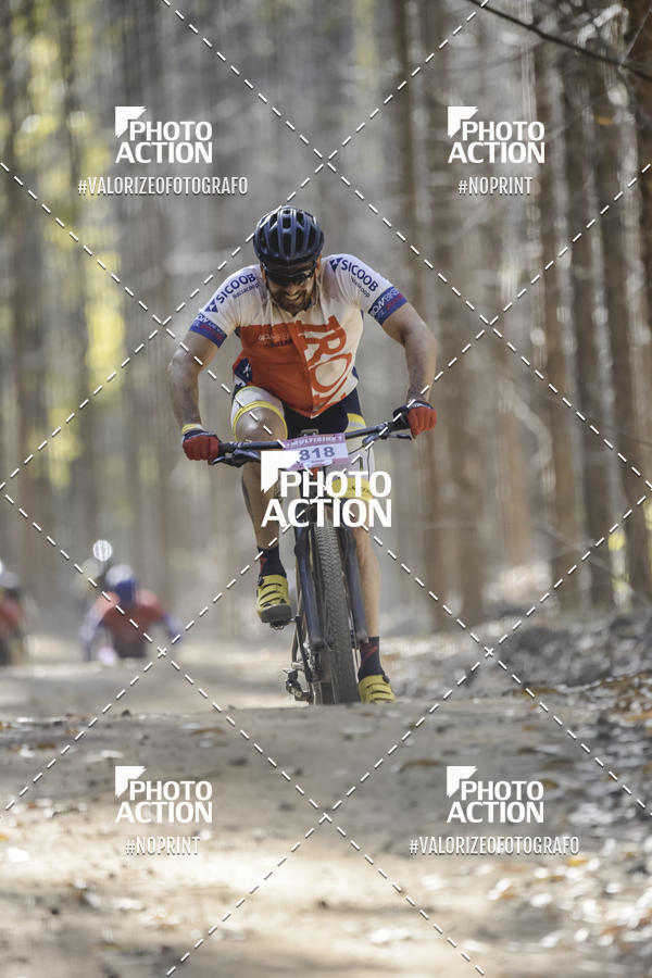 Buy your photos of the event16 Edio Maratona 100Km Canaviais on Fotop