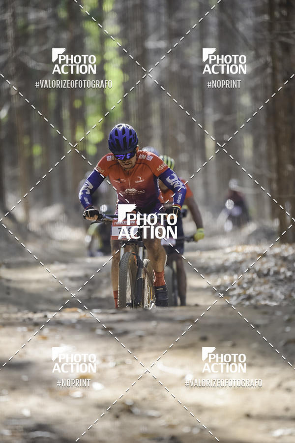 Buy your photos of the event16 Edio Maratona 100Km Canaviais on Fotop