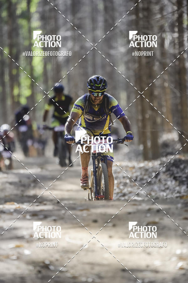 Buy your photos of the event16 Edio Maratona 100Km Canaviais on Fotop