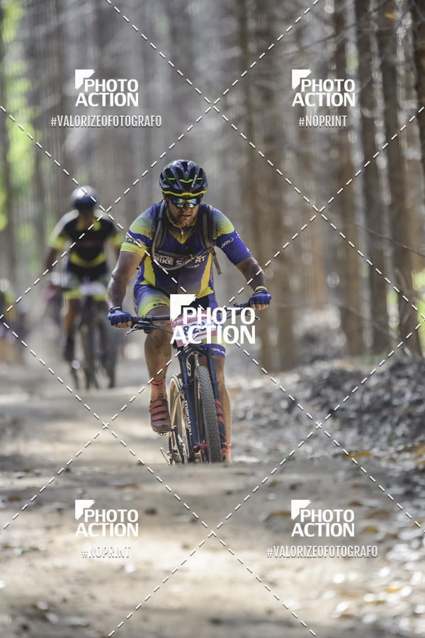Buy your photos of the event16 Edio Maratona 100Km Canaviais on Fotop
