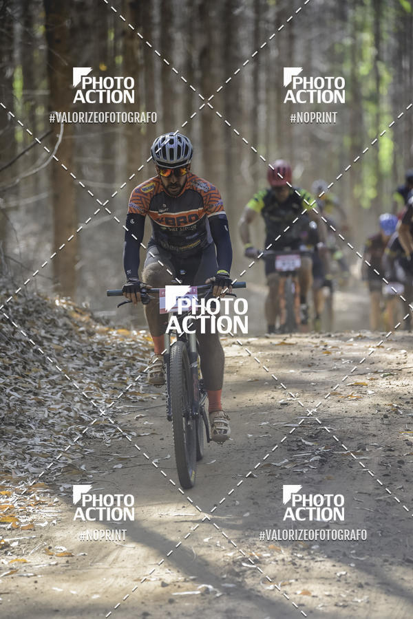 Buy your photos of the event16 Edio Maratona 100Km Canaviais on Fotop