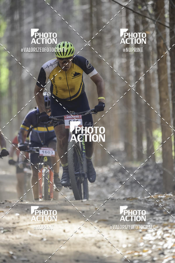 Buy your photos of the event16 Edio Maratona 100Km Canaviais on Fotop